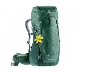 Рюкзак Deuter Futura 24 SL Seagreen-Forest (1052-3400218 2247 sam) 1052-3400218 2247 sam фото